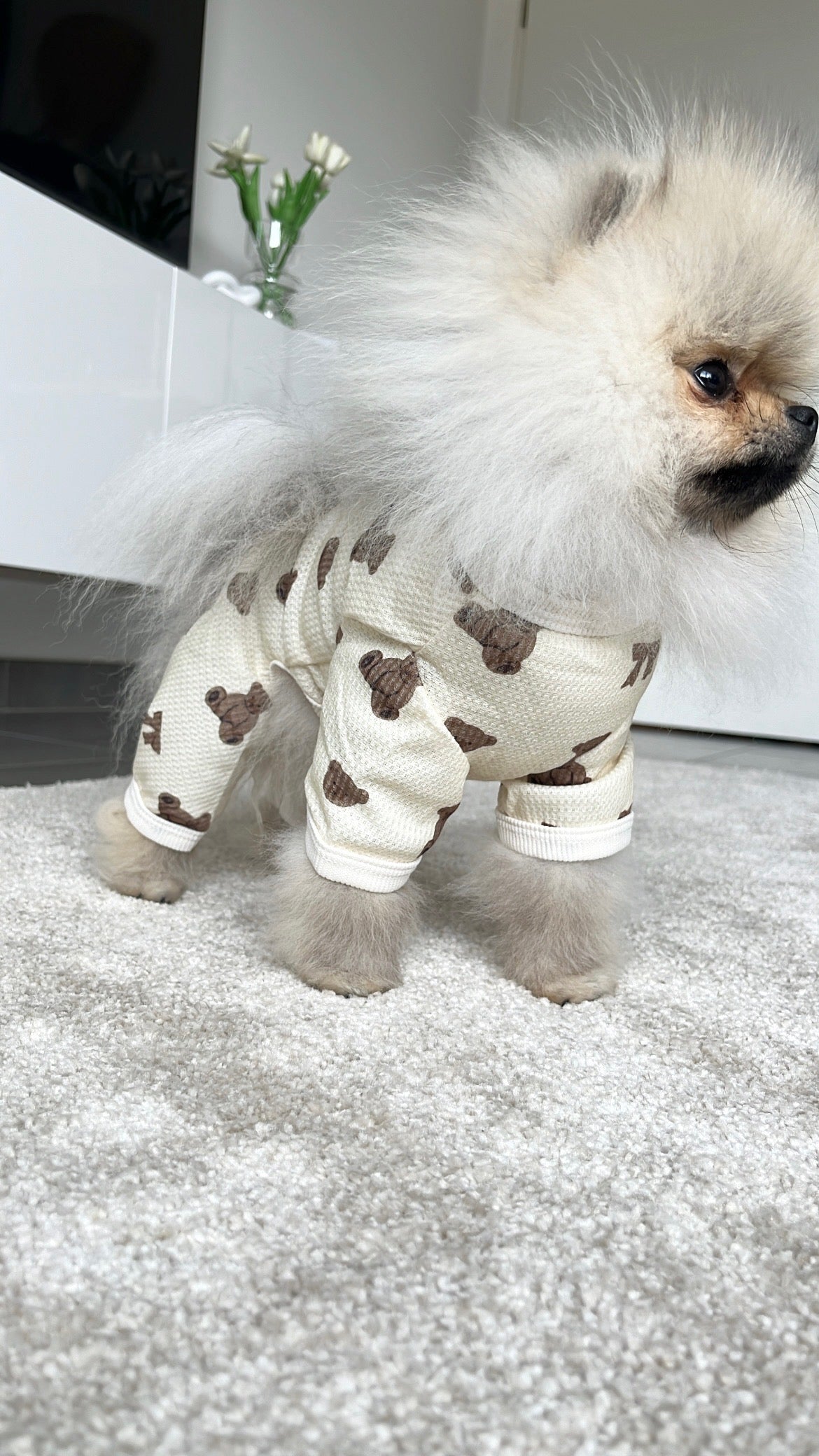 Grenouillère Bear