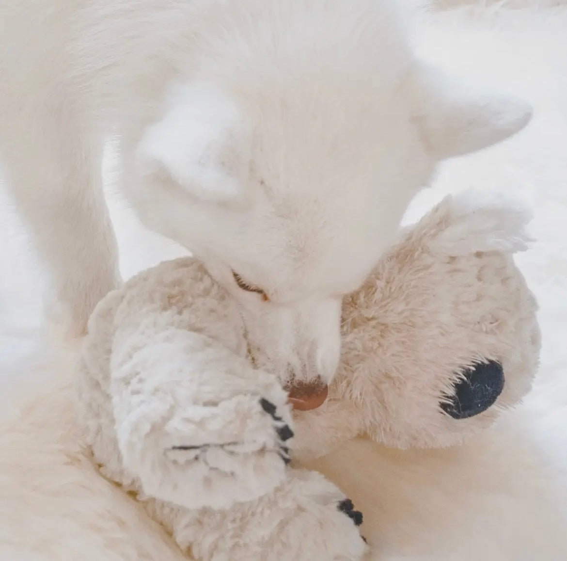Peluche Kyko