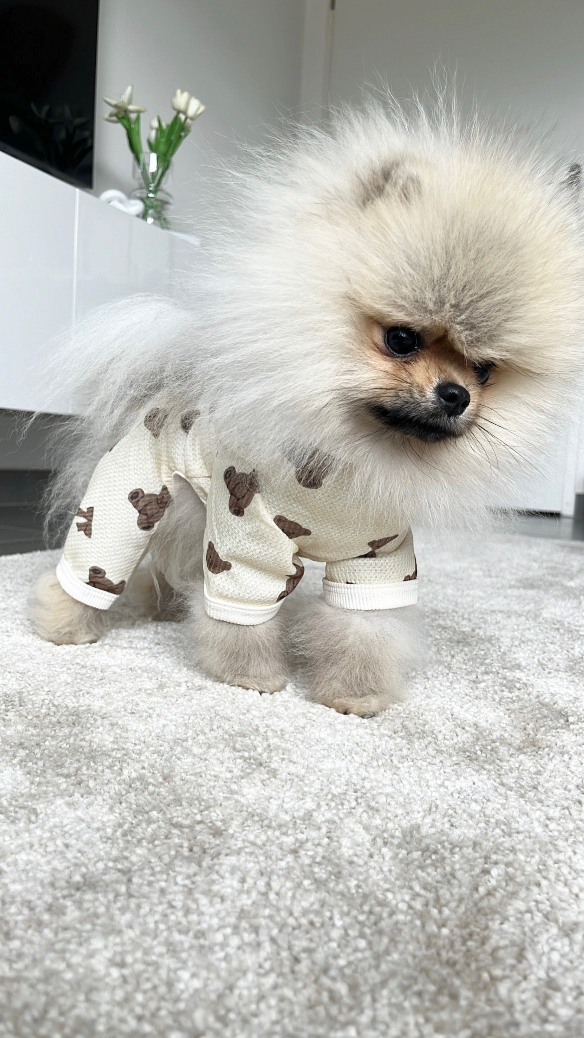 Grenouillère Bear