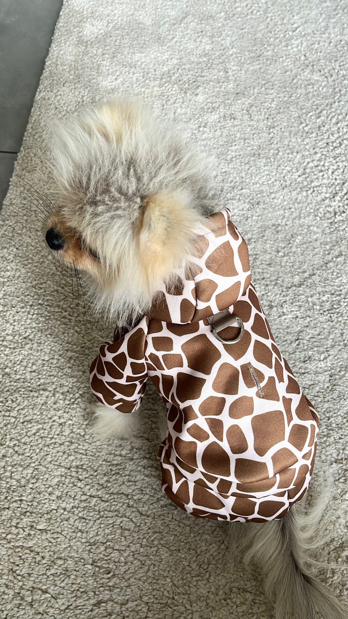 Grenouillère Girafe