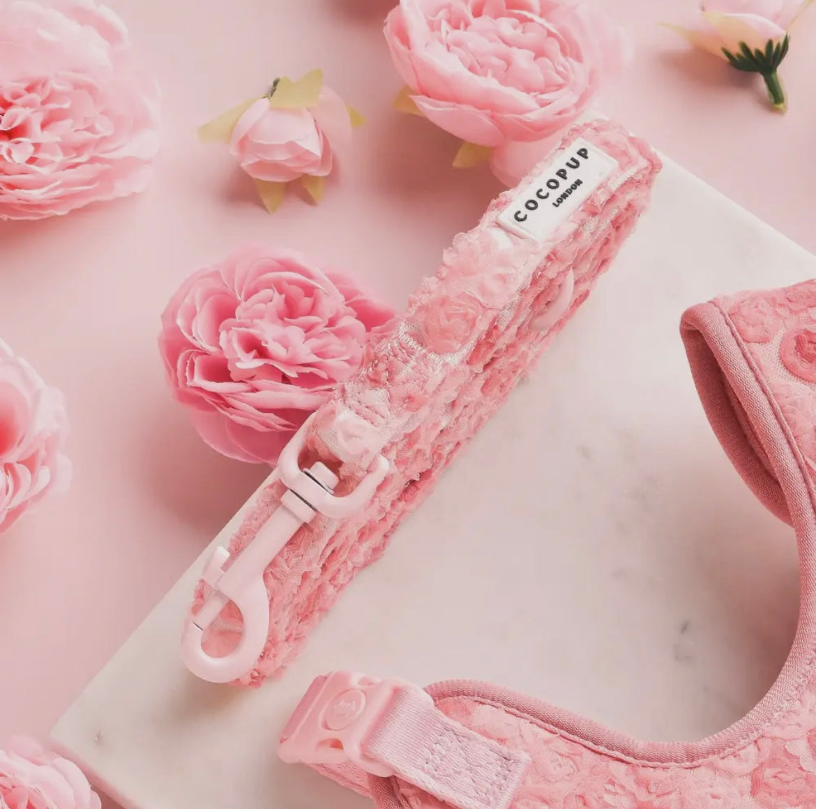 Laisse Peony