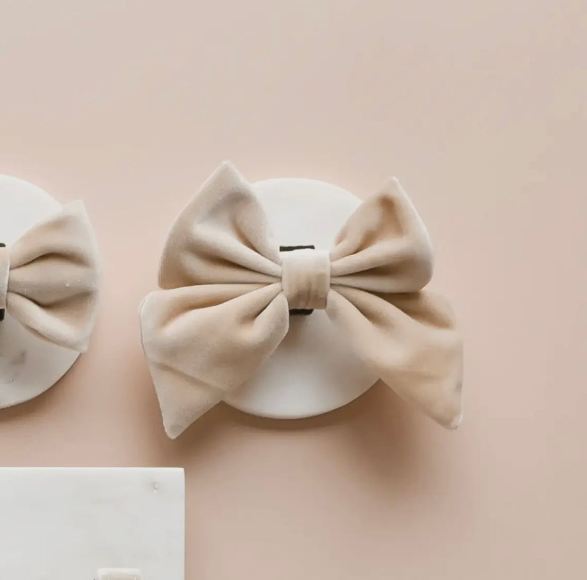 Noeud Papillon Champagne