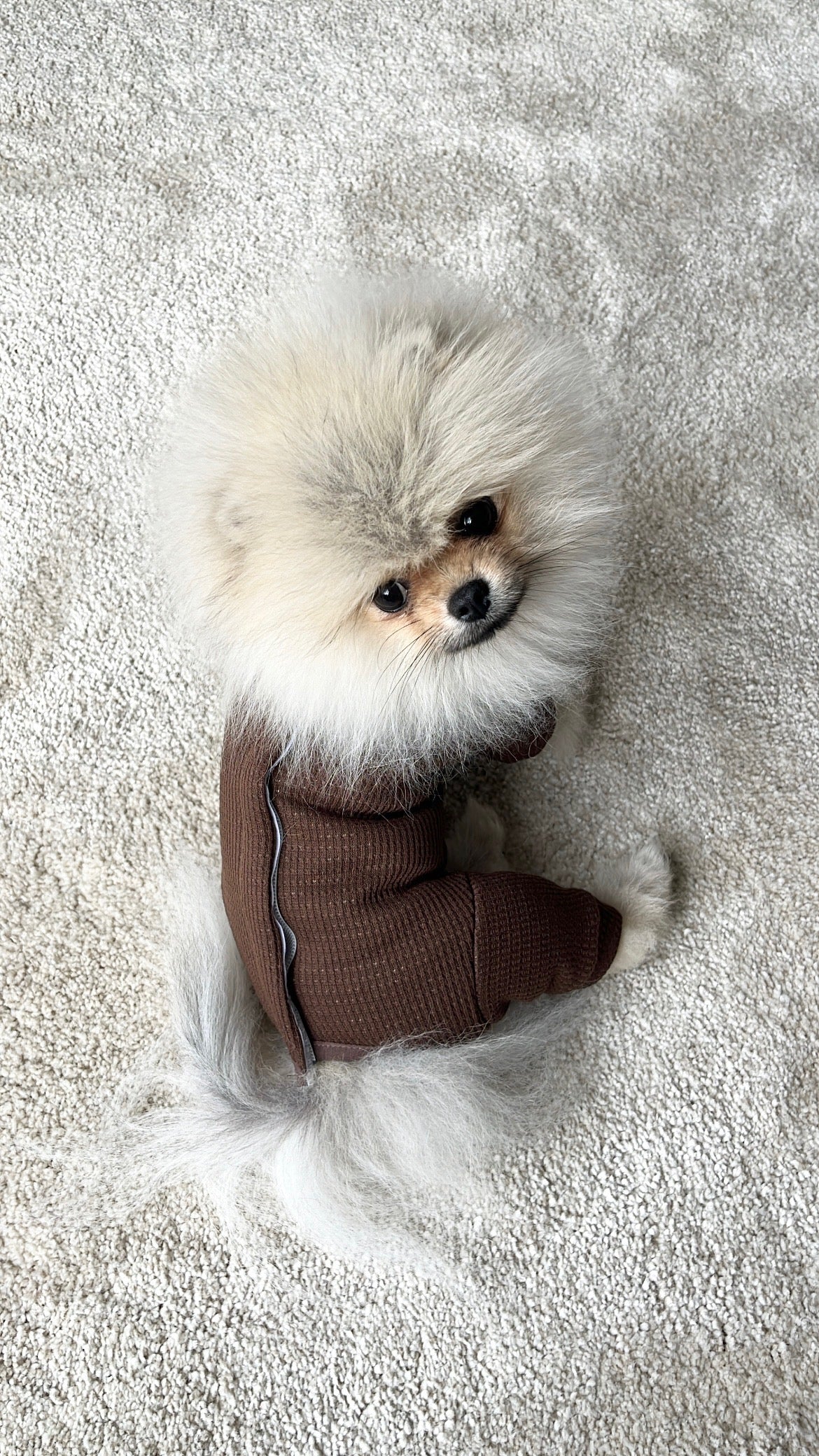 Grenouillère Cookie