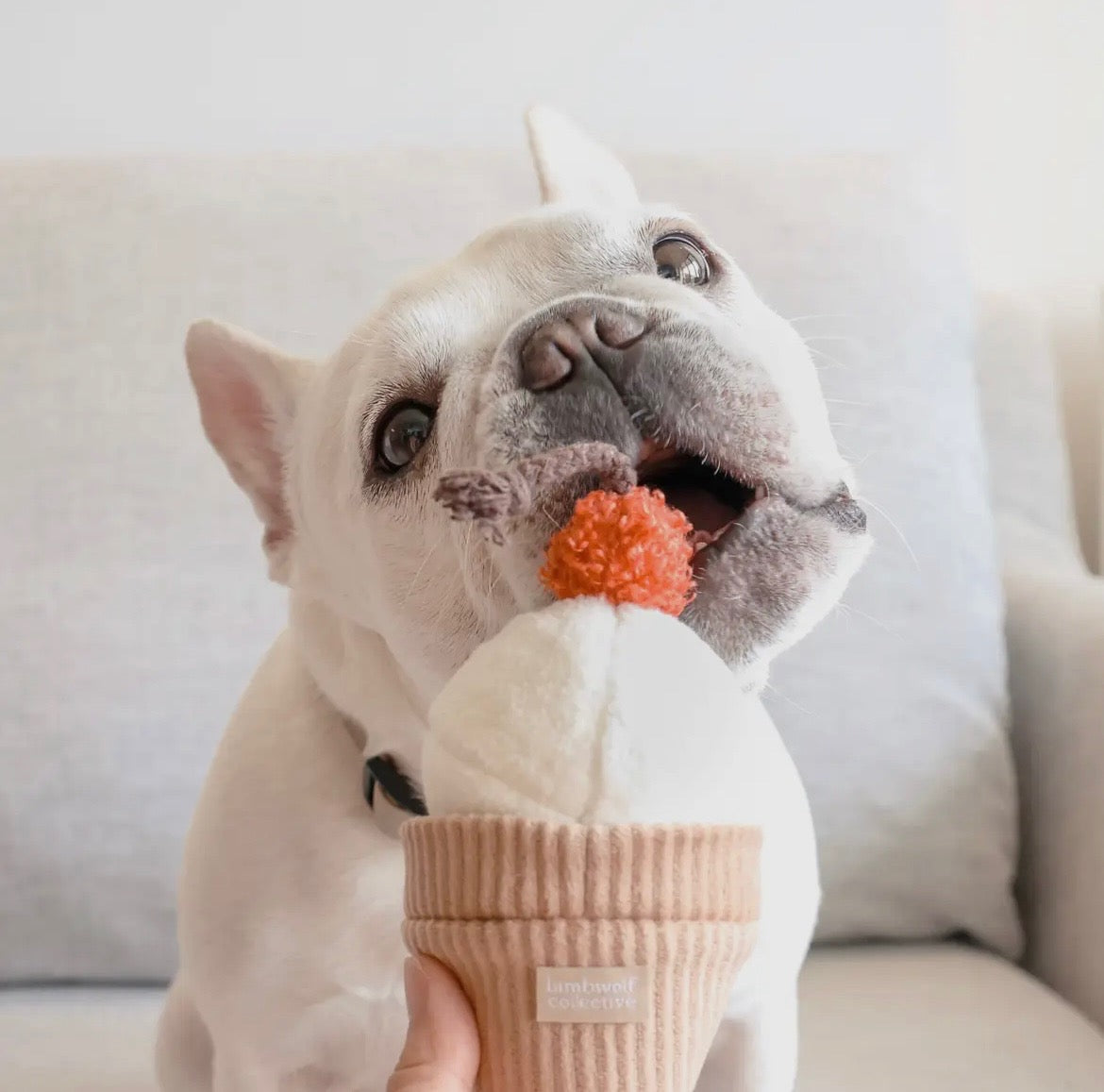 Jouet Ice Cream