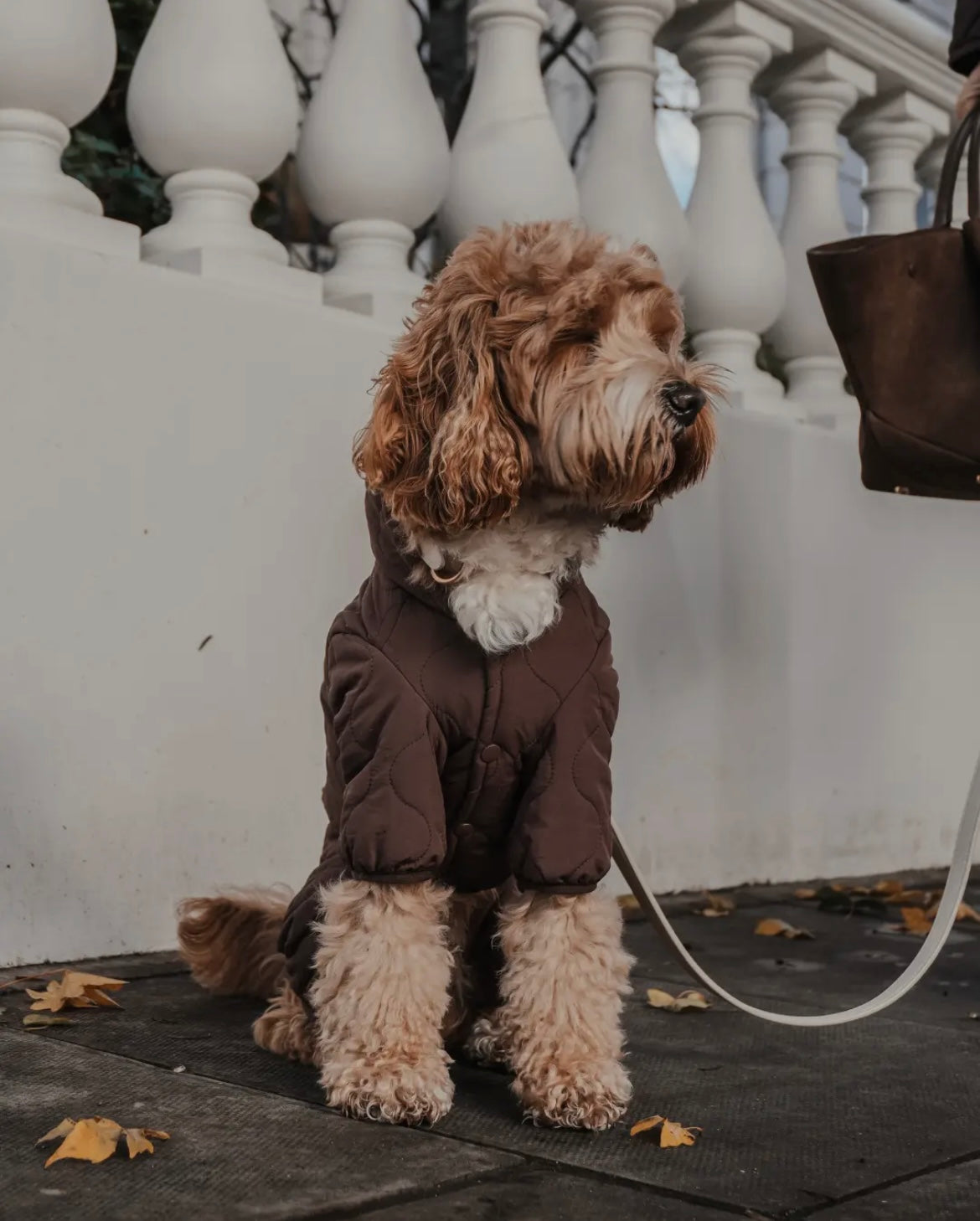 Manteau matelassé Teddy