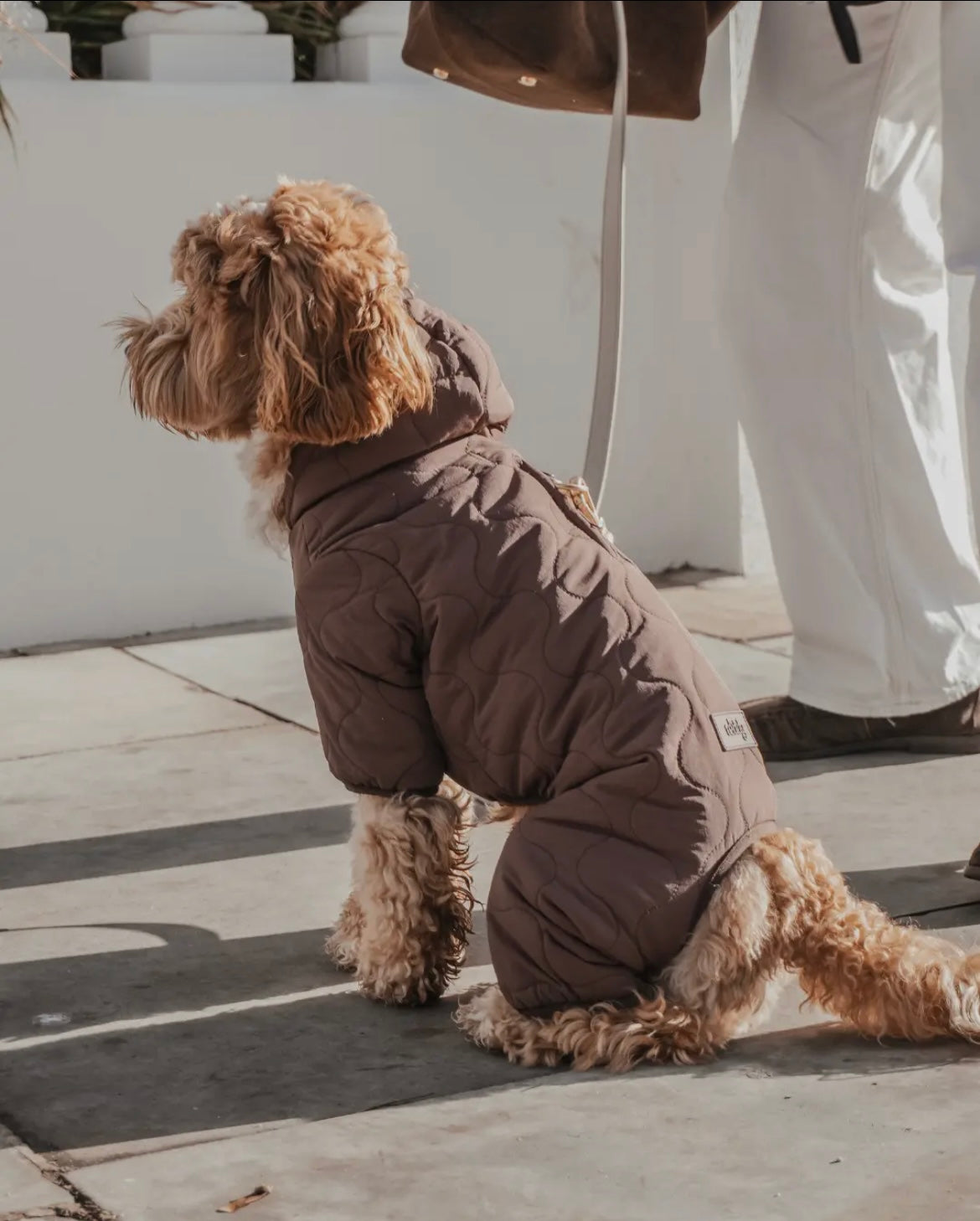 Manteau matelassé Teddy
