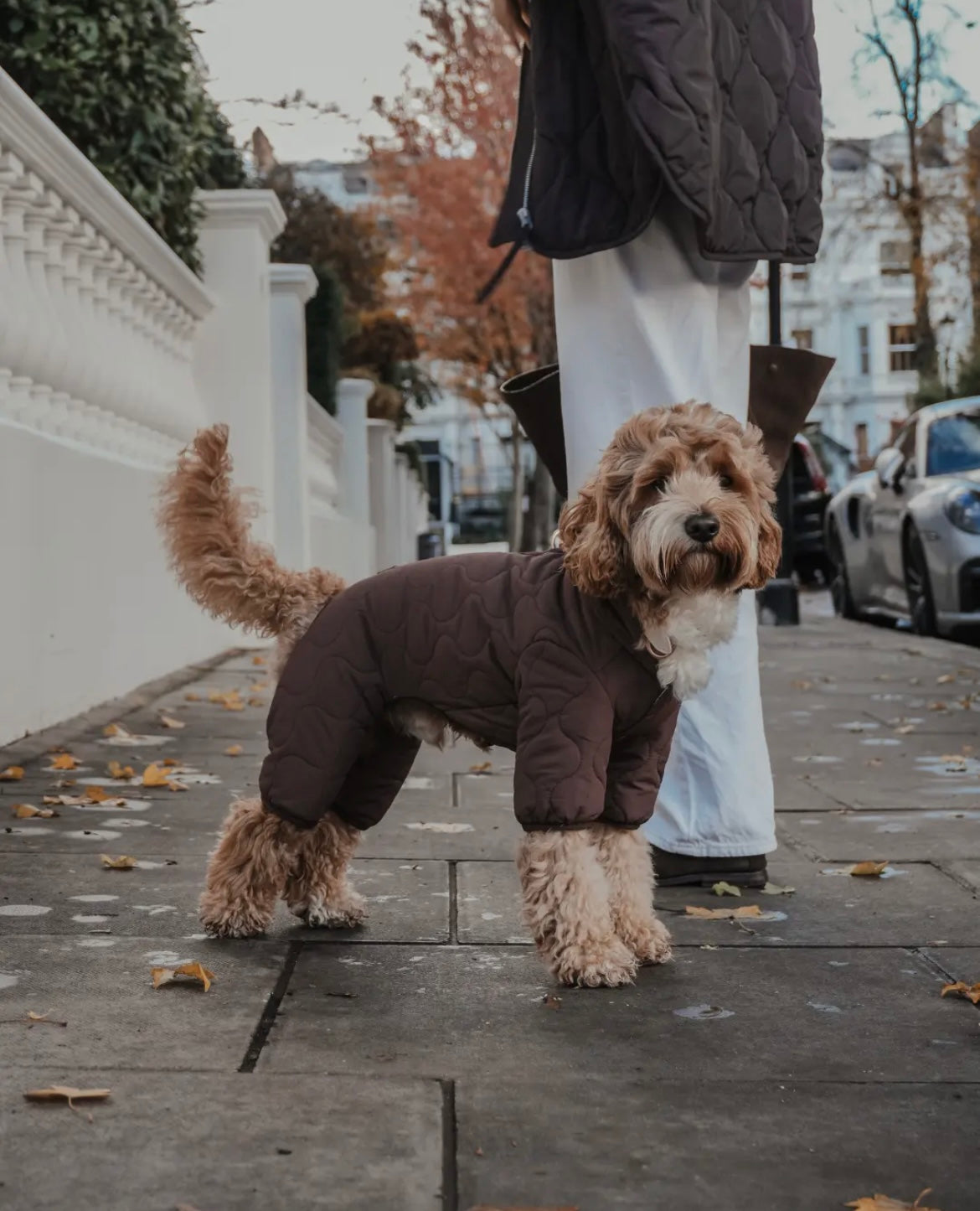Manteau matelassé Teddy