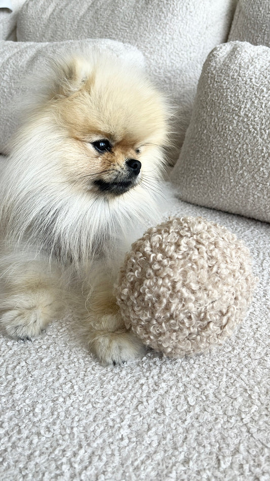 Balle Curly Teddy